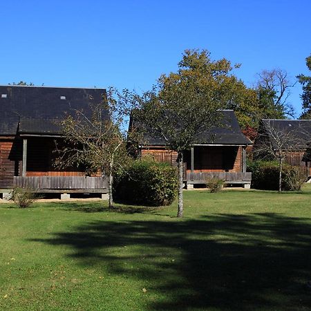 Les Chalets De Mur De Sologne Mur-de-Sologne Eksteriør billede